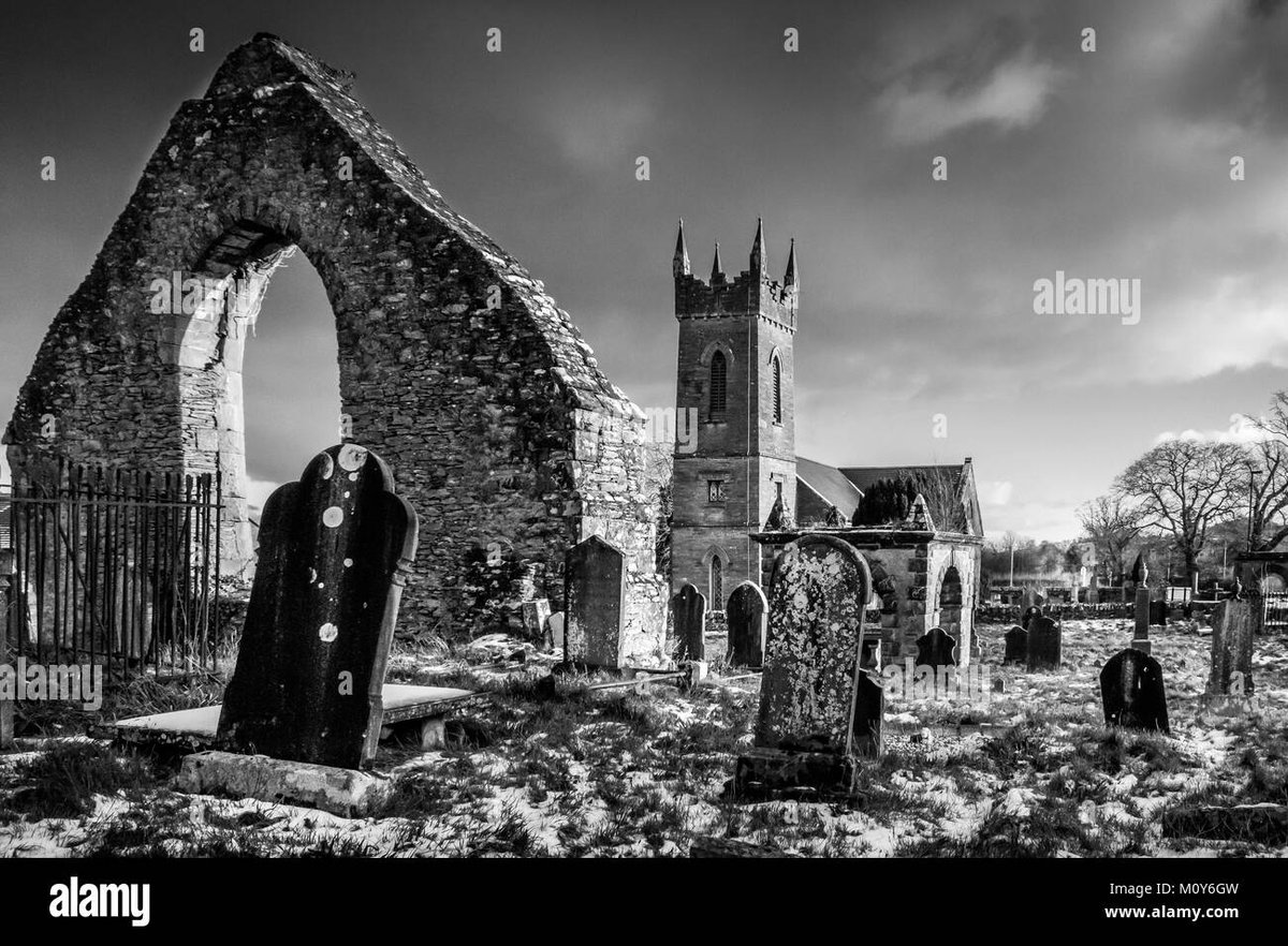 How Old Is Nico Robin in Hunter x Hunter?